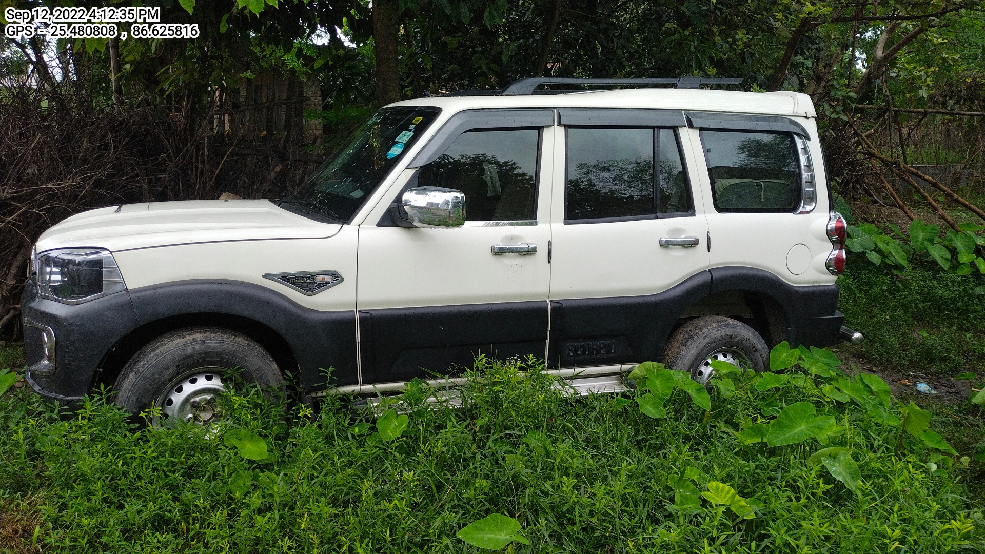 left_view