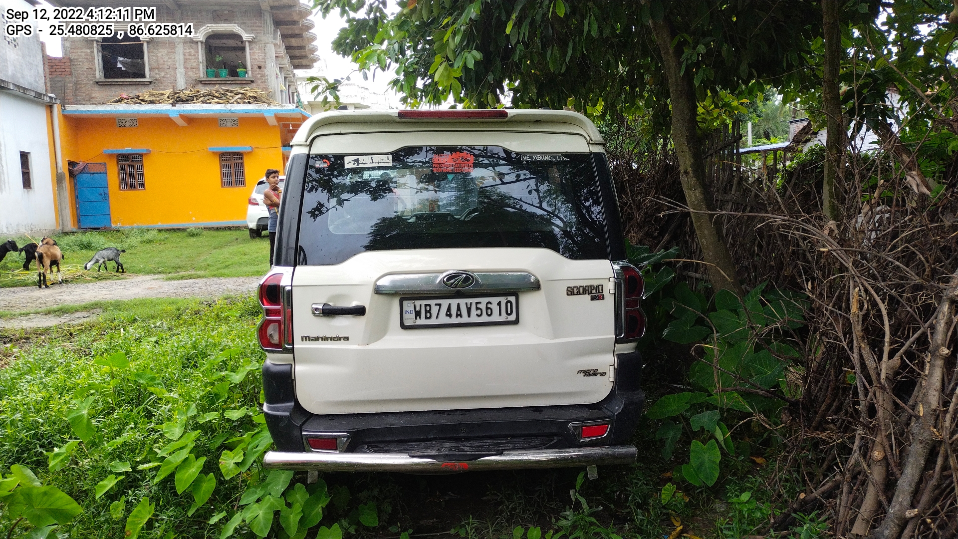 rear_view